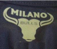 MILANO BULLS