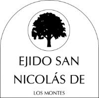 CARBON VEGETAL SAN NICOLÁS DE LOS MONTES