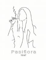 PASIFLORA LEAF