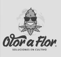 OLOR A FLOR