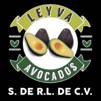 LEYVA AVOCADOS