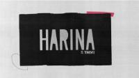 HARINA EL TENIENTE