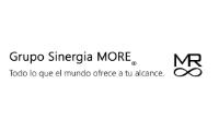 GRUPO SINERGIA MORE