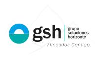 GRUPO SOLUCIONES HORIZONTE
