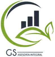 GS ASESORIA INTEGRAL