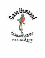 CASA QUETZAL CANNABIS SEEDS