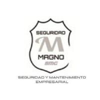 SEGURIDAD M MAGNO SMG