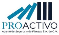 PROACTIVO AGENTE DE SEGUROS Y DE FIANZAS S.A. DE C.V.