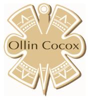 CLINICAS OLLIN COCOX
