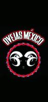 OVEJAS MÉXICO