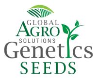 GLOBAL AGRO SOLUTIONS GENETICS SEEDS