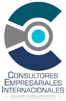 CEI CONSULTORES INTERNACIONALES