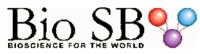 BIO SB BIOSCIENCE FOR THE WORLD