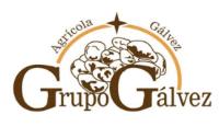 GRUPO GÁLVEZ