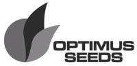 OPTIMUS SEEDS
