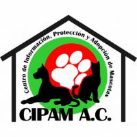 CENTRO DE INFORMACION; PROTECCION Y ADOPCION DE MASCOTAS CIPAM A.C.