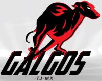 GALGOS TJ MX
