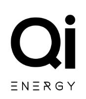 QI ENERGY GEL