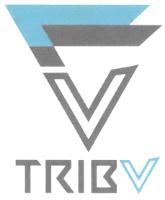 TRIBU 11