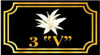 3V