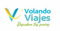 V VOLANDO VIAJES DESCUBRE TUS SUEÑOS