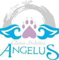 CLINICA HOLISTICA ANGELUS