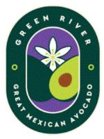 GREEN RIVER GREAT MEXICAN AVOCADO