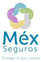 MÉX SEGUROS; PENTAGONO A BASE DE CURVAS DE 5 COLORES.