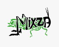 ASOCIACIÓN DE PROFESIONISTAS DE LA REGIÓN MIXTECO - ZAPOTECA (MIX-ZA) A.C.