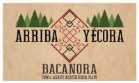 ARRIBA YÉCORA