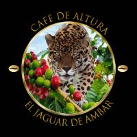 CAFE DE ALTURA EL JAGUAR DE AMBAR