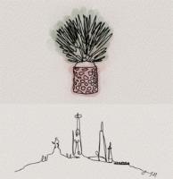 MEZCAL MEMORIA