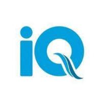 IQ