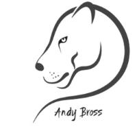 ANDY BROSS