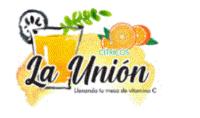 CÍTRICOS LA UNIÓN LLENANDO TU MESA DE VITAMINA C