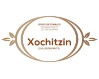 GRUPO DE TRABAJO MONSAXOCHITL DE MECAYAPAN XOCHITZIN DULCE DE FRUTA