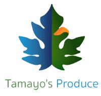 TAMAYO'S PRODUCE