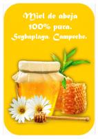 MIEL DE ABEJA 100% PURA. SEYBAPLAYA; CAMPECHE