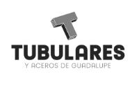 TUBULARES Y ACEROS DE GUADALUPE