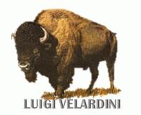 LUIGI VELARDINI