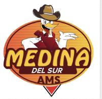 MEDINA DEL SUR AMS