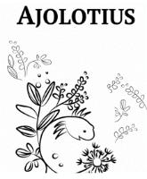 AJOLOTIUS