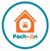 PACH-ON MASCOTAS