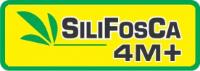 SILIFOSCA 4M+
