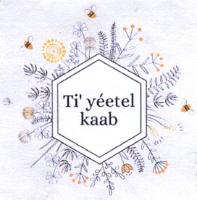 TI´YÉETEL KAAB