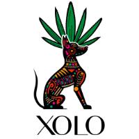 XOLO