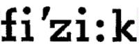 FI'ZI;K