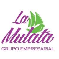 LA MULATA GRUPO EMPRESARIAL