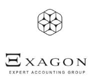 XI XAGON;EXPERT ACCOUNTING GROUP