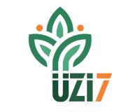 UZI 7